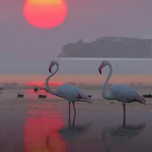 Sardinia Cagliari